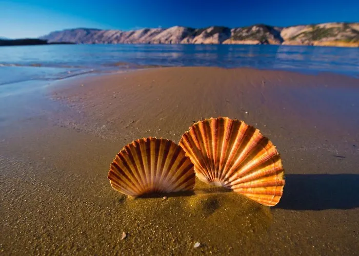 アパート In Barbat With Sea View, Balcony, Air Conditioning 660-4 *